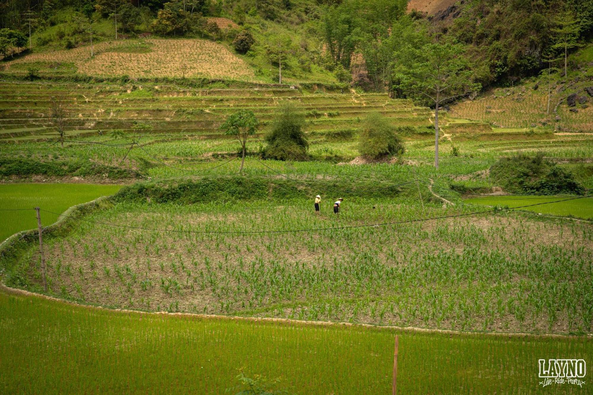 Quiri Hostel Ha Giang Lang Lap Luaran gambar